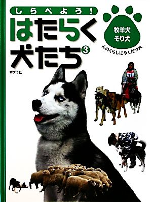 しらべよう！はたらく犬たち(3) 牧羊犬・そり犬 人のくらしにやくだつ犬