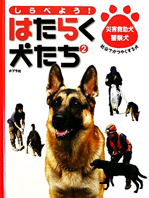 しらべよう！はたらく犬たち(2) 災害救助犬・警察犬 社会でかつやくする犬