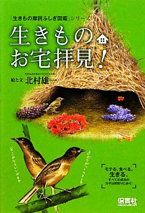 生きものお宅拝見！ 生きもの摩訶ふしぎシリーズ