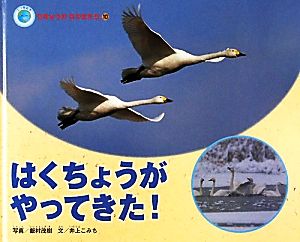 はくちょうがやってきた！ エコ育絵本 ちきゅうのなかまたち10