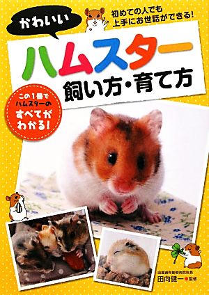 かわいいハムスター 飼い方・育て方 新品本・書籍 | ブックオフ公式