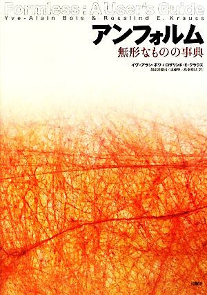 アンフォルム 無形なものの事典 芸術論叢書