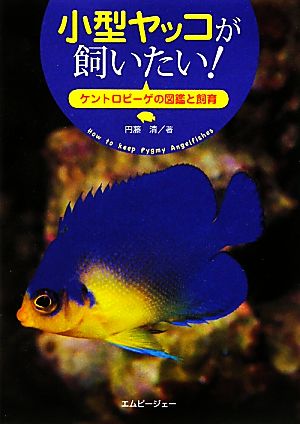 小型ヤッコが飼いたい！ ケントロピーゲの図鑑と飼育 アクアライフの本