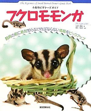 フクロモモンガ 小動物ビギナーズガイド