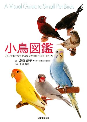 小鳥図鑑 フィンチと小型インコたちの種類・羽色・飼い方