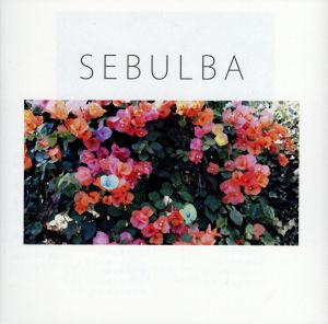 SEBULBA