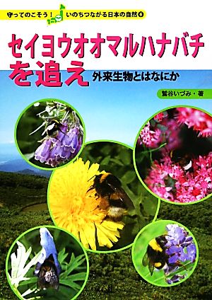 セイヨウオオマルハナバチを追え外来生物とはなにか守ってのこそう！いのちつながる日本の自然6