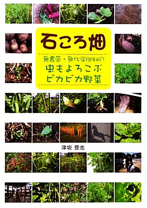 石ころ畑 無農薬・無化学肥料の虫もよろこぶピカピカ野菜