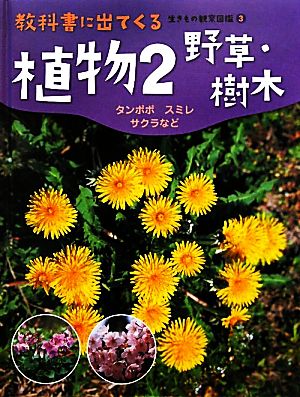 植物(2)野草・樹木 タンポポ・スミレ・サクラなど教科書に出てくる生きもの観察図鑑3