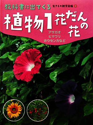 植物(1)花だんの花 アサガオ・ヒマワリ・ホウセンカなど教科書に出てくる生きもの観察図鑑2