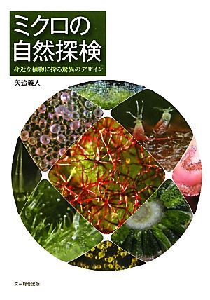 ミクロの自然探検 身近な植物に探る驚異のデザイン