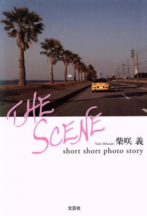 THE SCENE short short photo st