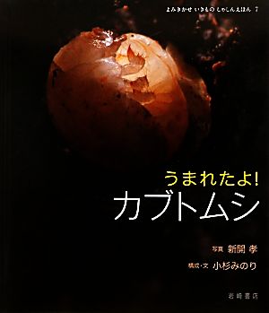 うまれたよ！カブトムシ よみきかせいきものしゃしんえほん7