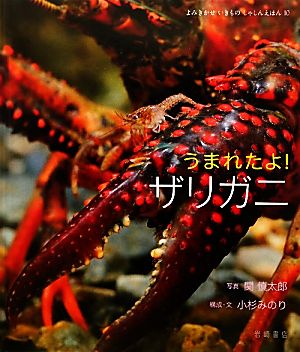 うまれたよ！ザリガニ よみきかせいきものしゃしんえほん10