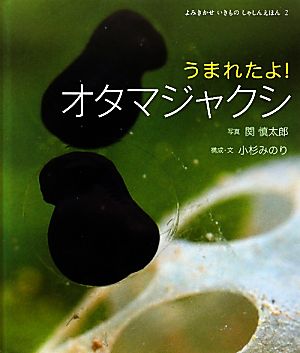 うまれたよ！オタマジャクシ よみきかせいきものしゃしんえほん2