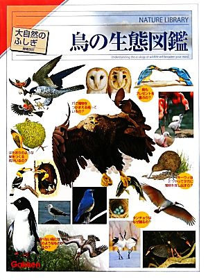 鳥の生態図鑑 大自然のふしぎ