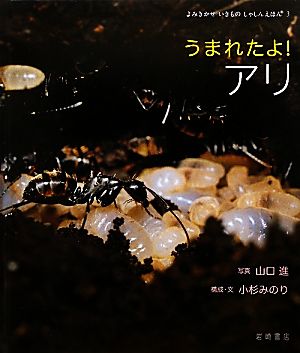 うまれたよ！アリ よみきかせいきものしゃしんえほん3