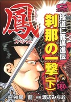 【廉価版】鳳スペシャル 刹那の一撃(下) GC