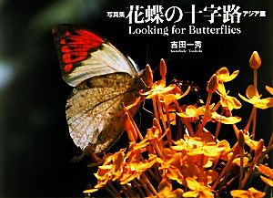 写真集 花蝶の十字路 アジア篇 Looking for Butterflies