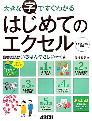 大きな字ですぐわかるはじめてのエクセル エクセル2010対応