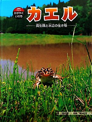 カエル 両生類と水辺の生き物 科学のアルバム・かがやくいのち7