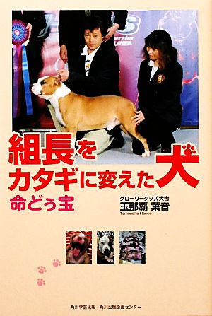 組長をカタギに変えた犬 命どぅ宝