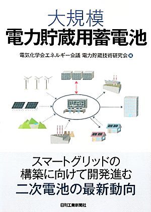 大規模電力貯蔵用蓄電池