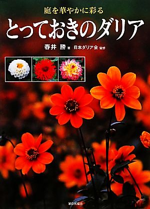 庭を華やかに彩るとっておきのダリア