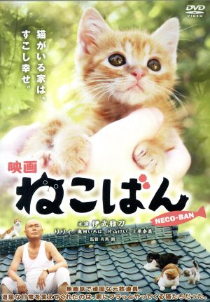 映画ねこばん