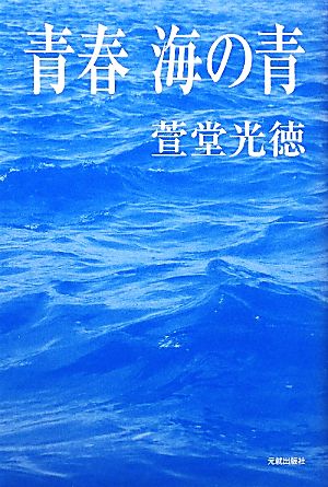 青春 海の青