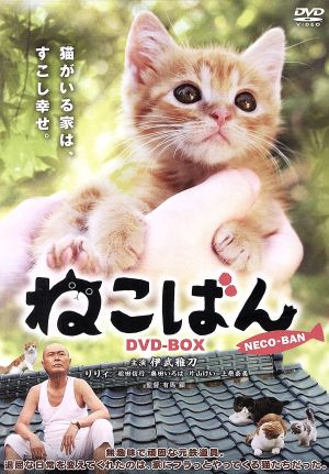 DVD ねこばんDVD-BOX