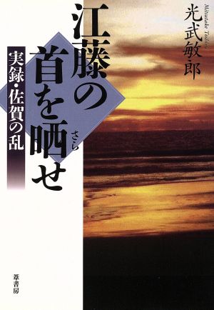 江藤の首を晒せ 実録・佐賀の乱