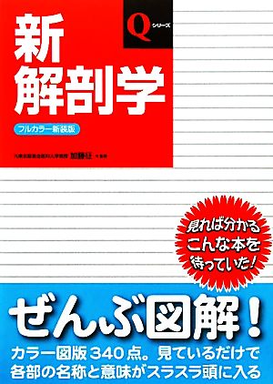 新解剖学 フルカラー新装版 第6版 Qシリーズ