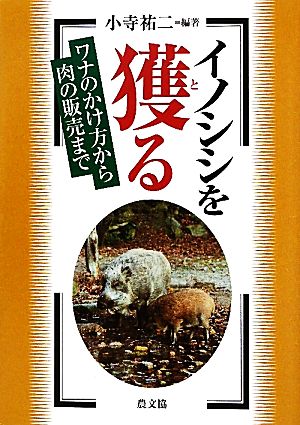 イノシシを獲る ワナのかけ方から肉の販売まで