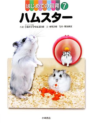 はじめての飼育(7)ハムスター