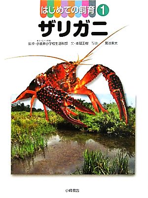 はじめての飼育(1)ザリガニ