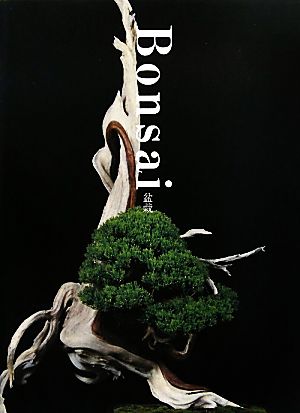 Bonsai 盆栽