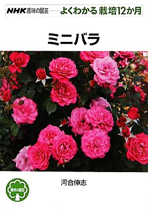 趣味の園芸 ミニバラ よくわかる栽培12か月 NHK趣味の園芸