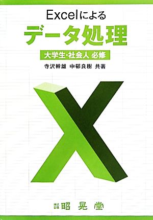 Excelによるデータ処理