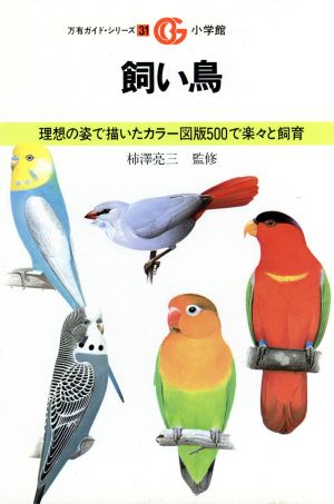 飼い鳥 理想の姿で描いたカラー図版500で楽々と飼育 中古本・書籍