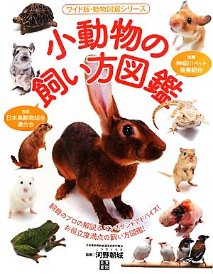 小動物の飼い方図鑑 ワイド版・動物図鑑シリーズ