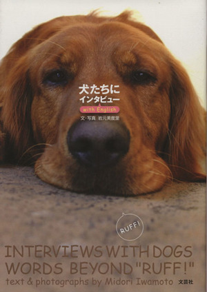 犬たちにインタビュー With English