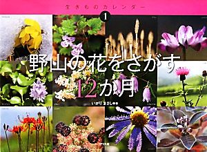 野山の花をさがす12か月生きものカレンダー1