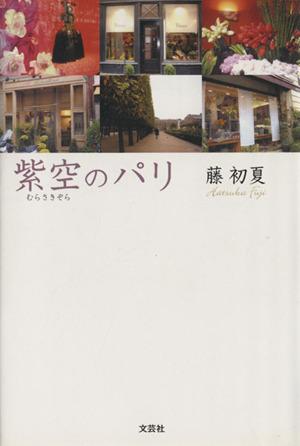紫空のパリ/文芸社/藤初夏2005年07月15日