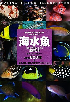 海水魚 ひと目で特徴がわかる図解付き ネイチャーウォッチングガイドブック