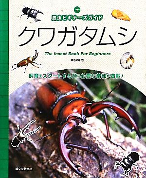 クワガタムシ 昆虫ビギナーズガイド