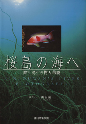 桜島の海へ 錦江湾生き物万華鏡