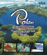 魅惑の楽園パラオ-Tropical Wonder Sea PALAU-(Blu-ray Disc)