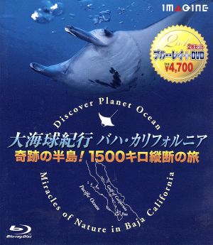 大海球紀行バハ・カリフォルニア-奇跡の半島！1500キロ縦断の旅-(Blu-ray Disc)