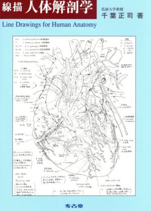 線描人体解剖学 増補第2版